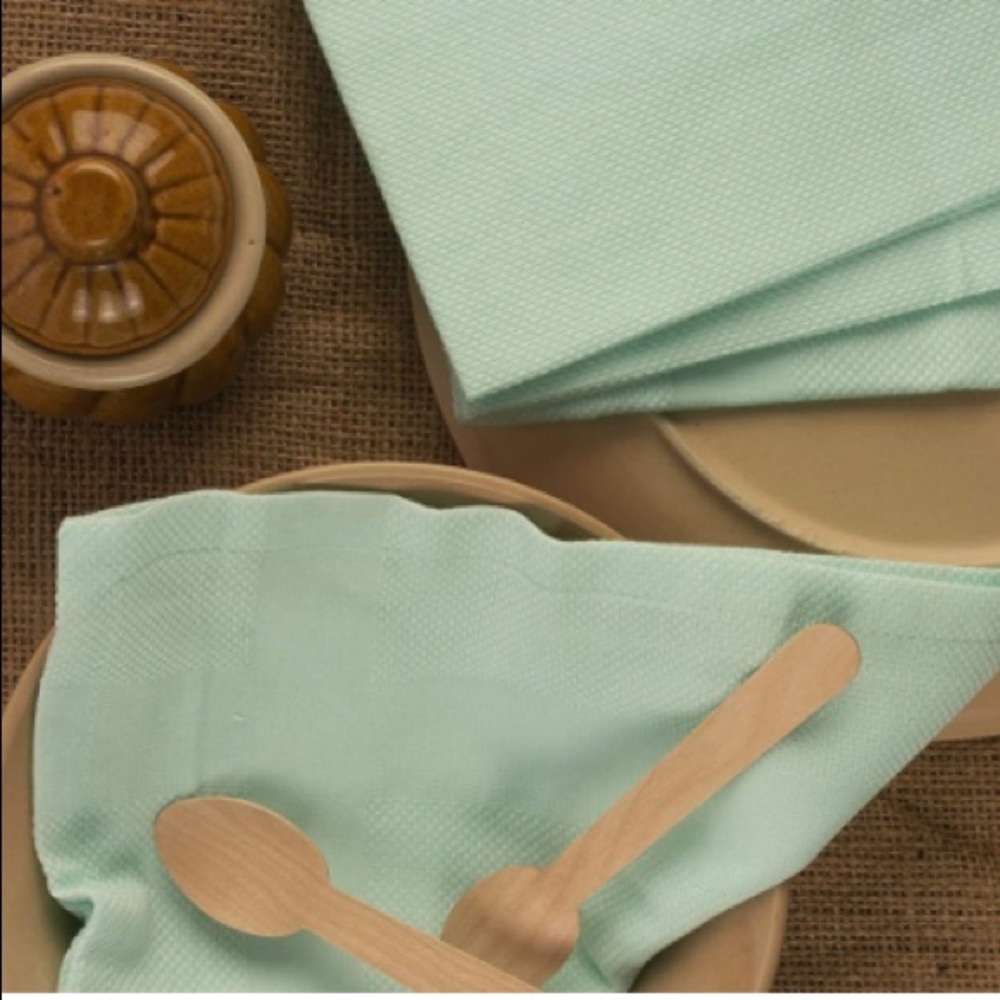 Mint cotton dinner napkins set of 12